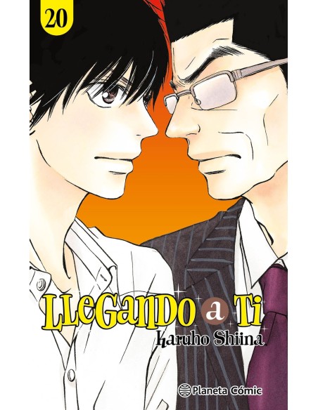 Llegando a ti nº 20 30